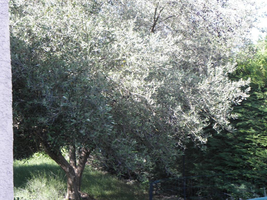Sommières La Parenthese 아파트 객실 사진